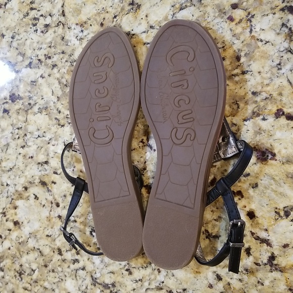 Circus by Sam Edelman ssndals - Picture 4 of 5